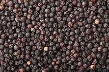 Black Pepper - Piper nigrum